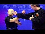 Wing Chun kung fu - wing chun  siu lim tao Lesson 1
