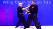 Wing Chun kung fu - wing chun  siu lim tao lesson 3