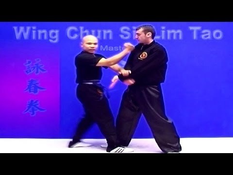 Wing Chun kung fu - wing chun siu lim tao lesson 3