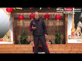 FREE Wing Chun Mini Course Lesson 4