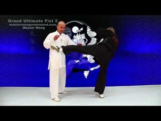 tai chi push hands tai chi chuan fight style use tai chi - Lesson 5