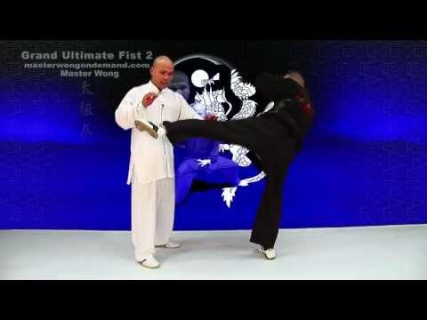 tai chi push hands tai chi chuan fight style use tai chi - Lesson 5