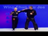 Wing Chun kung fu - wing chun Biu Jee Lesson 5