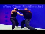 Wing Chun kung fu - Fight Art Lesson 2