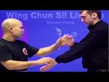 Wing Chun kung fu - wing chun  siu lim tao lesson 4
