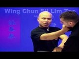 Wing Chun kung fu - wing chun  siu lim tao lesson 6