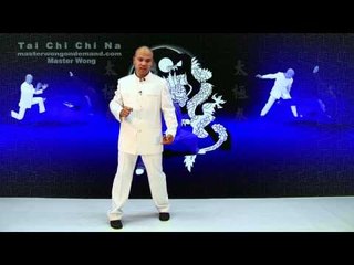 Tai Chi Chin Na - taiji chuan Lesson 2