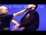 Wing Chun kung fu - wing chun  siu lim tao lesson 11