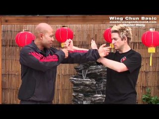 Wing Chun Mini Course Lesson 7