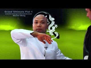 Tai Chi combat tai chi chuan fight style use tai chi - lesson 6