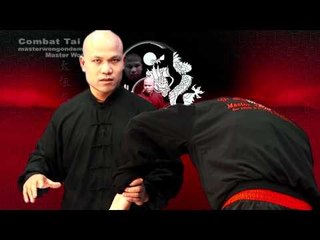 Tai chi combat tai chi chuan fight style use chen tai chi  – lesson 7