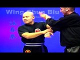 Wing Chun kung fu - wing chun Biu Jee Lesson 12