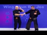 Wing Chun kung fu - wing chun Biu Jee Lesson 13