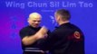 Wing Chun kung fu - wing chun  siu lim tao lesson 10