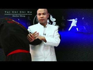 Tai Chi Chi Na Demo