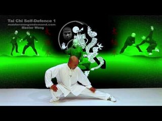 tai chi self-defence demo
