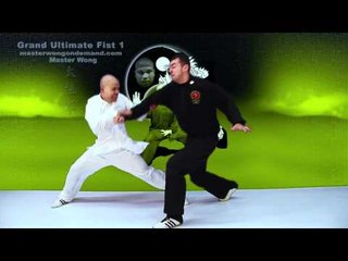 Tai Chi combat tai chi chuan fight style use tai chi - lesson 13