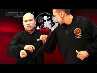 Tai chi combat tai chi chuan fight style use chen tai chi – lesson 2