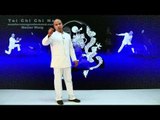 Tai Chi Chin Na - taiji chuan lesson 8