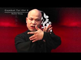 Tai chi combat tai chi chuan fight style use chen tai chi – lessons 4
