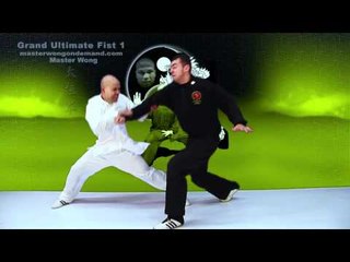 Tai Chi Combat Tai Chi Chuan Fight Style Use Tai Chi - Lesson 3