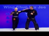 Wing Chun kung fu - wing chun Biu Jee Lesson 14