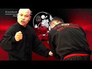 Tai chi combat tai chi chuan fight style use chen tai chi – lesson 6