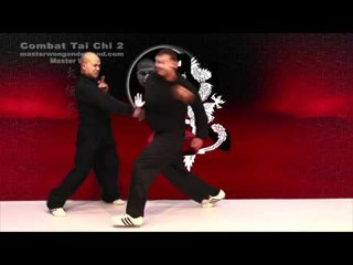 Tai chi combat tai chi chuan fight style use chen tai chi – lesson 16