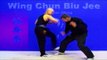 Wing Chun kung fu - wing chun Biu Jee Lesson 17