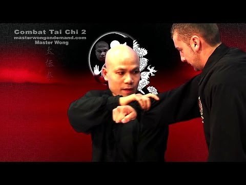Tai chi combat tai chi chuan fight style use chen tai chi – lesson 17