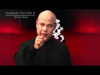 Tải video: Tai chi combat tai chi chuan fight style use chen tai chi – lesson 15