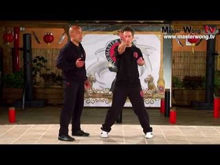 Wing Chu Sil Lim Tao Course M1 2012