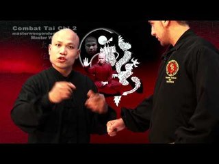 Tai chi combat tai chi chuan fight style use chen tai chi – lesson 19
