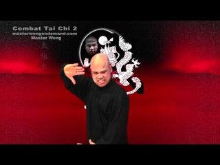 Download Video: Tai chi combat tai chi chuan fight style use chen tai chi – lesson 21