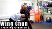 Wing Chun training - wing chun how to use elbow drill Q18