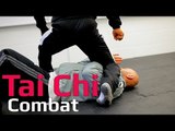 Tai chi combat tai chi chuan - How to follow up an attack in tai chi. Q18