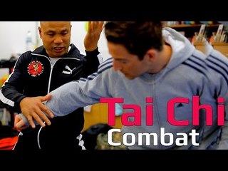 Tai chi combat tai chi chuan - Can you use both chen and yang tai chi in combat? Q7