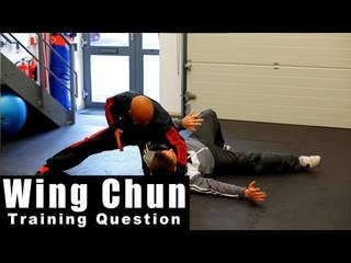 Wing Chun training questions - how to counter the attack Q52