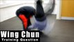 Wing Chun training - wing chun how to deal with takedown Q42
