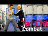 Tai chi combat tai chi chuan - tai chi push hand attack with push Q27
