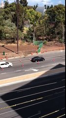 Un kangourou se balade sur une route