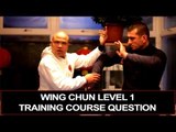 Wing Chun level 1 Course - energy drills, module 2