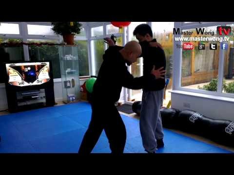 wing chun lesson with master wong