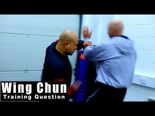 Wing Chun training - wing chun attack the rib Q81