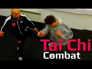 Tai chi combat tai chi chuan - tai chi attack body. Q48