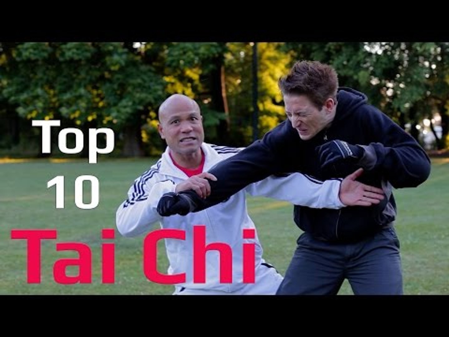 Top 10 Tai Chi Awesome Combat Moves – Taiji Quan Combat Fighting - video  Dailymotion
