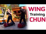 Wing Chun kung fu Training Lesson 5 Master Wong