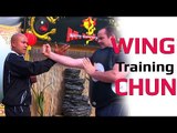 Wing Chun kung fu Training Lesson 2 Master Wong