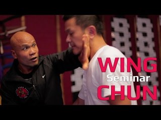 Awesome wing chun seminar part 2