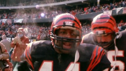 Freezer Bowl highlights